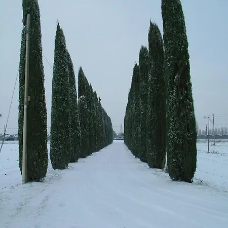Bb Mambrotta Country house San Martino Buon Albergo